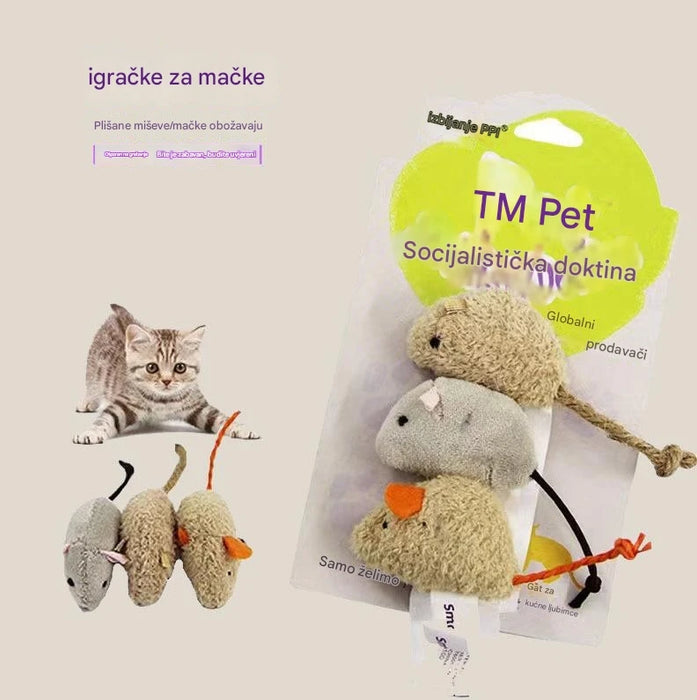 Interactive cat toy set