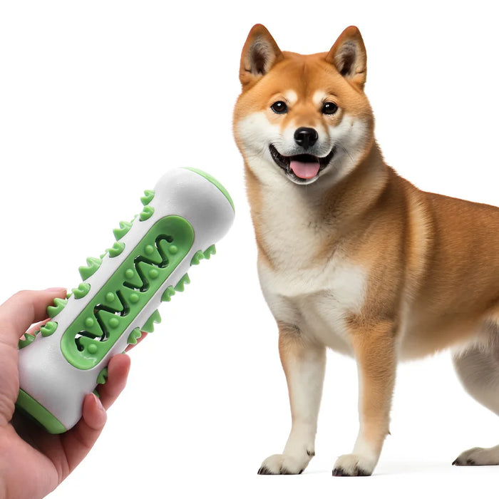 Durable dog toys for active chewing, teeth cleaning, and training