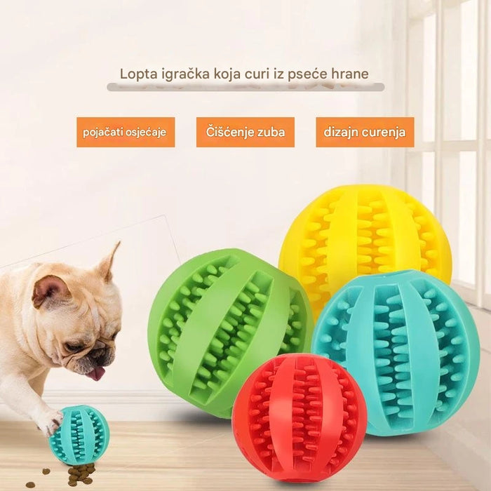 Interactive dog toys to relieve boredom and tooth grinding