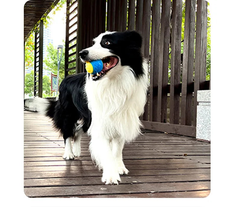 Chewing Training Toy for Puppies and Small Dogs, Squeaky Balls with Durable TPR Material