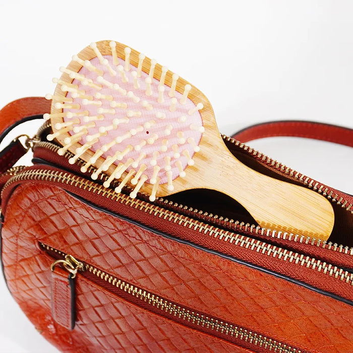 Portable Mini Cleaning Airbag Comb