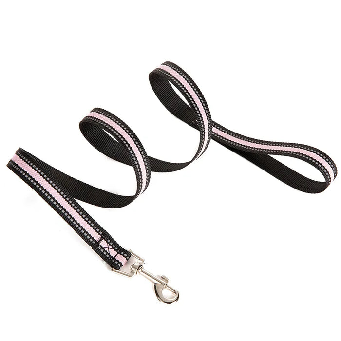 Reflective Nylon Dog Leash with Collar - New Pet Leash for Walks and Outdoor Activities