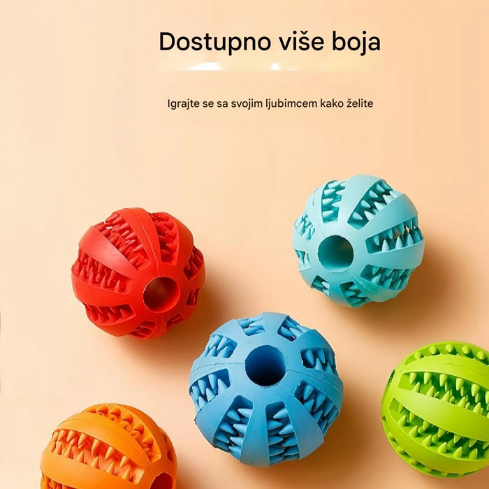 Interactive dog toys to relieve boredom and tooth grinding