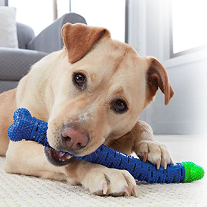 Durable and Safe Dog Chew Toys for Aggressive Chewers