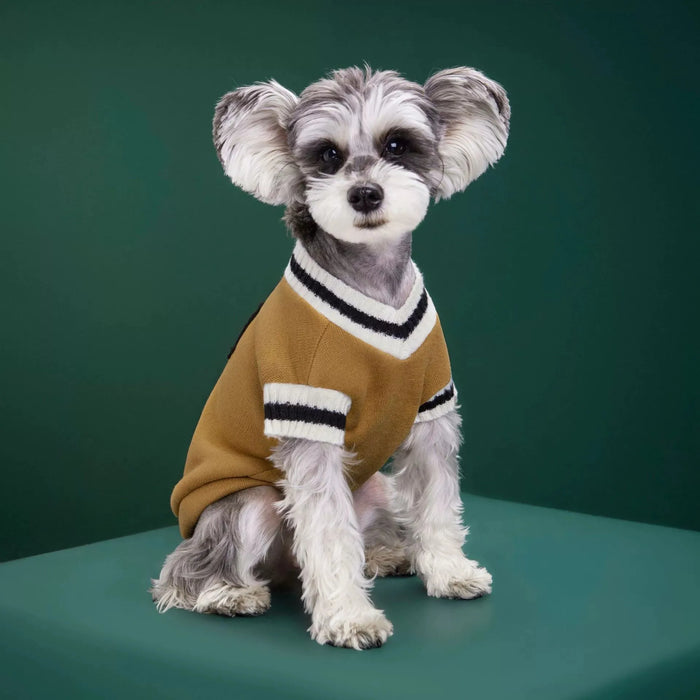 New Autumn and Winter Knitted Vest for Pet with V-neckline and Academy Style Teddy Pomeranian Fashionable Dog Clothes