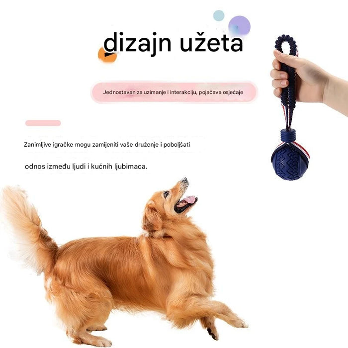 Interactive dog toy with elastic rope