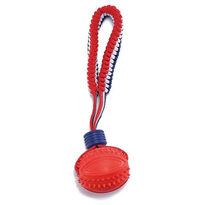 Interactive dog toy with elastic rope