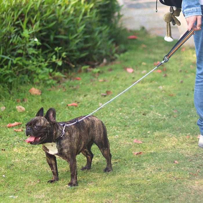 Exploring the Outdoors with Your Pup - Heavy Duty Dog Leash for All Breeds