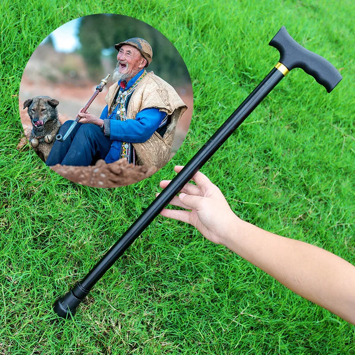 Adjustable Aluminum Alloy Walking Stick with 2 Sections and 6 Heights for Outdoor Elderly