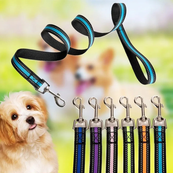 New reflective nylon dog leash and collar set for walking and training