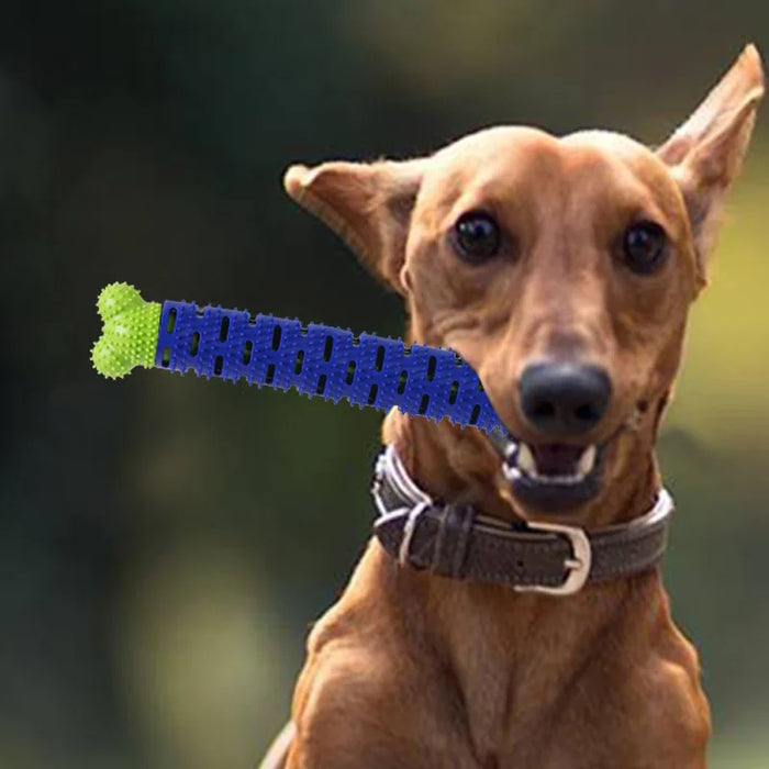 Durable and Safe Dog Chew Toys for Aggressive Chewers