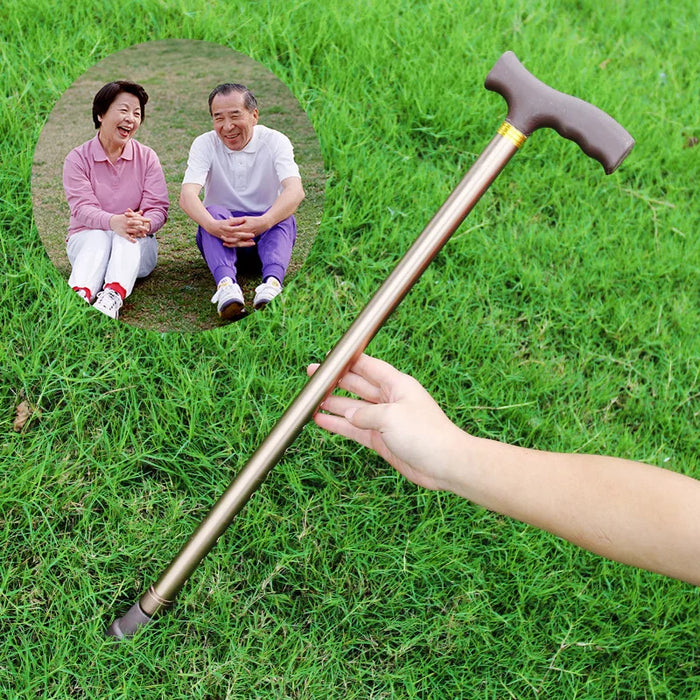 Adjustable Aluminum Alloy Walking Stick with 2 Sections and 6 Heights for Outdoor Elderly