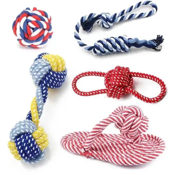 Durable dog toys for small and medium-sized dogs