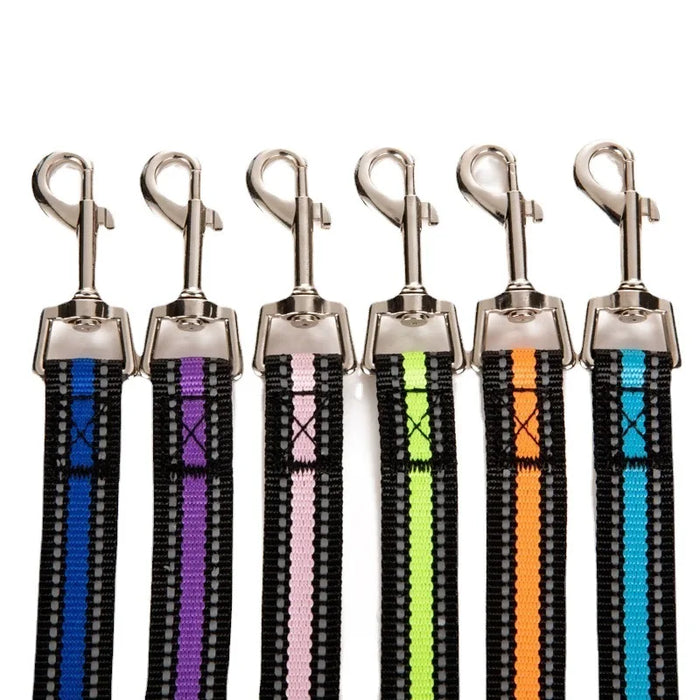 New reflective nylon dog leash and collar set for walking and training