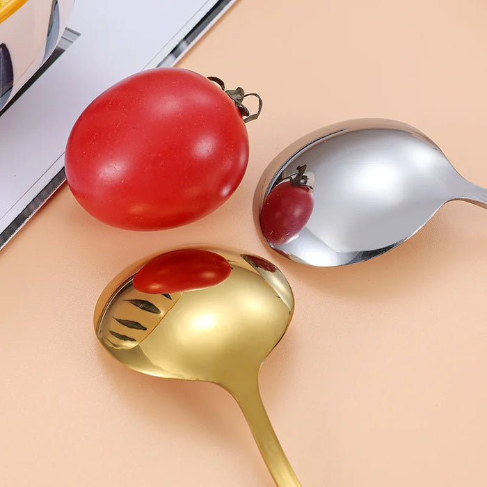 Stainless Steel Spoon