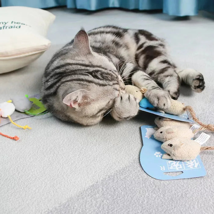 Interactive cat toy set