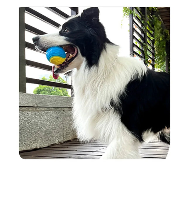 Chewing Training Toy for Puppies and Small Dogs, Squeaky Balls with Durable TPR Material