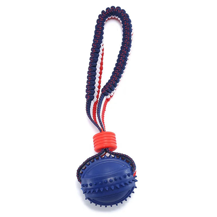 Interactive dog toy with elastic rope